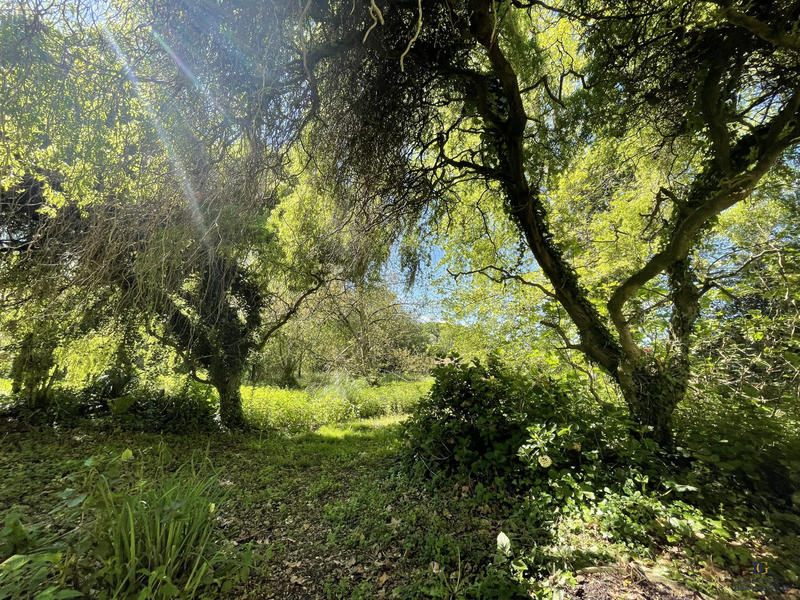 Maison - 190 m² - 7 pièces