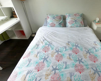 Appartement - 42 m² - 2 pièces