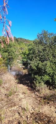 Terrain de loisirs - 4 296 m²