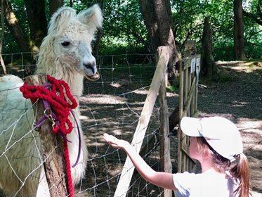 La Maison des Chameaux