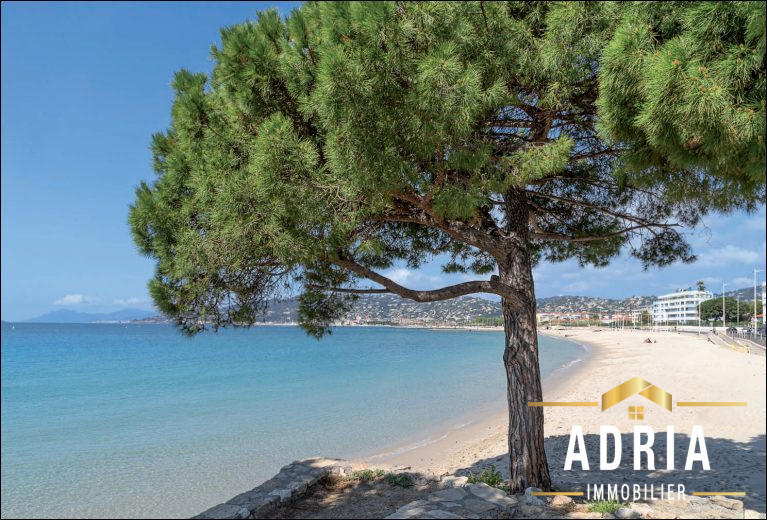 Appartement - 81 m² - 4 pièces