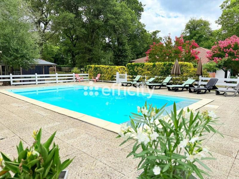 Demeure - 262 m² - 12 pièces