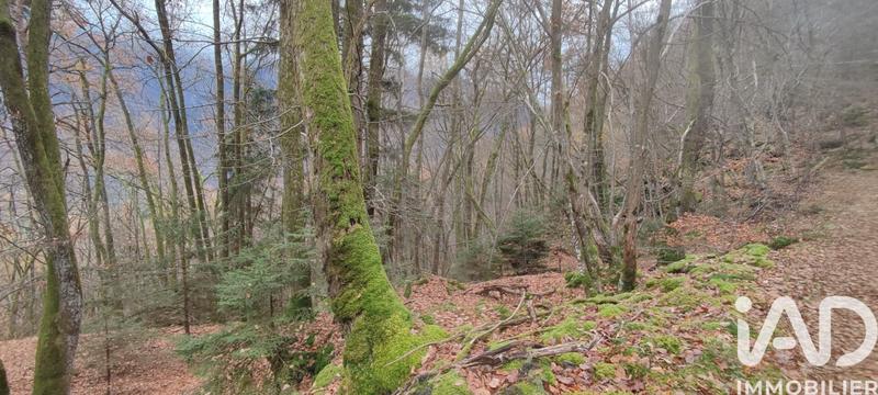 Terrain - 61 700 m²