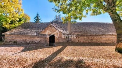 Maison ancienne - 475 m² - 8 pièces