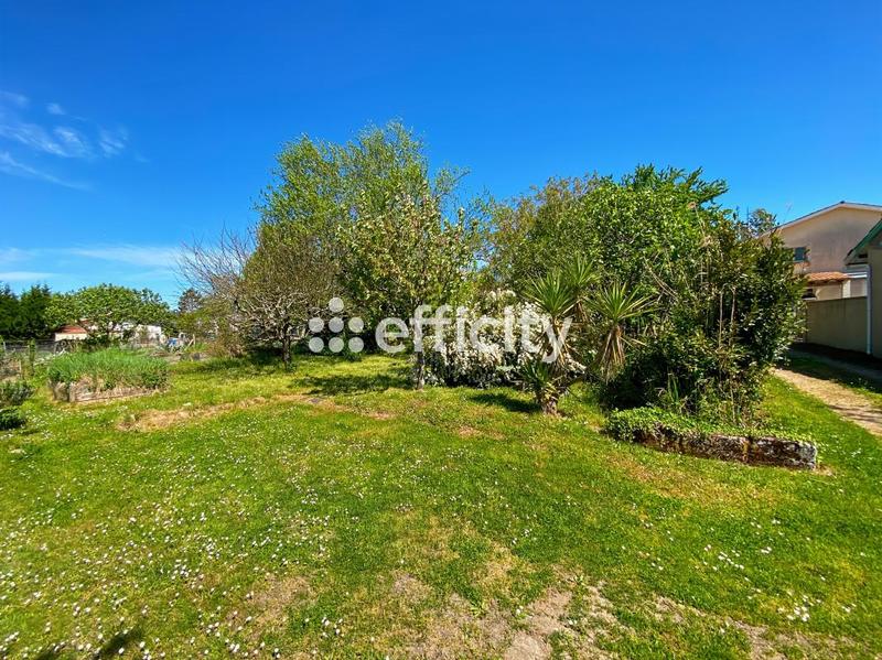 Maison - 250 m² - 9 pièces