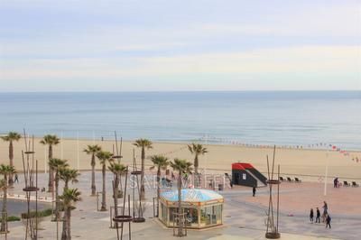 Appartement - 19 m² - 1 pièce