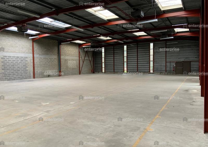 Local d'activité / Entrepôt - 800 m²