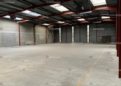 Local d'activité / Entrepôt - 800 m²