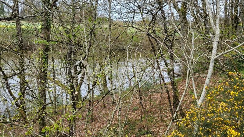 Terrain de loisirs - 24 000 m²