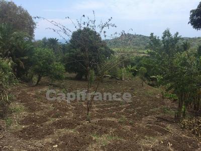 Terrain constructible - 1 500 m²