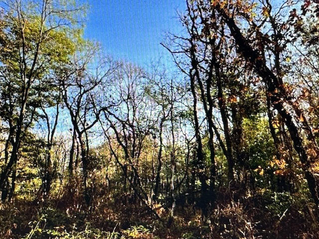 Terrain agricole - 79 305 m²