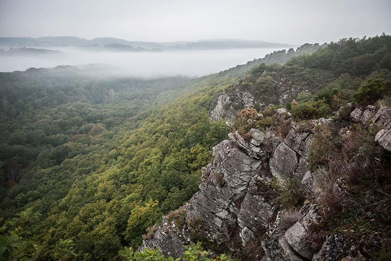 Balade nature en famille