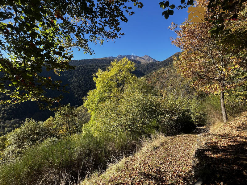 Maison ancienne - 98 m² - 4 pièces