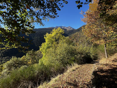 Maison ancienne - 98 m² - 4 pièces