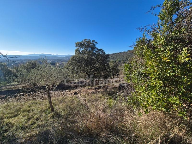 Maison - 167 m² - 5 pièces