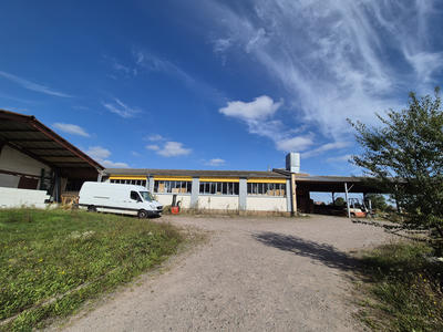 Local d'activités - 900 m²