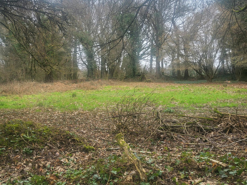 Maison - 169 m² - 6 pièces