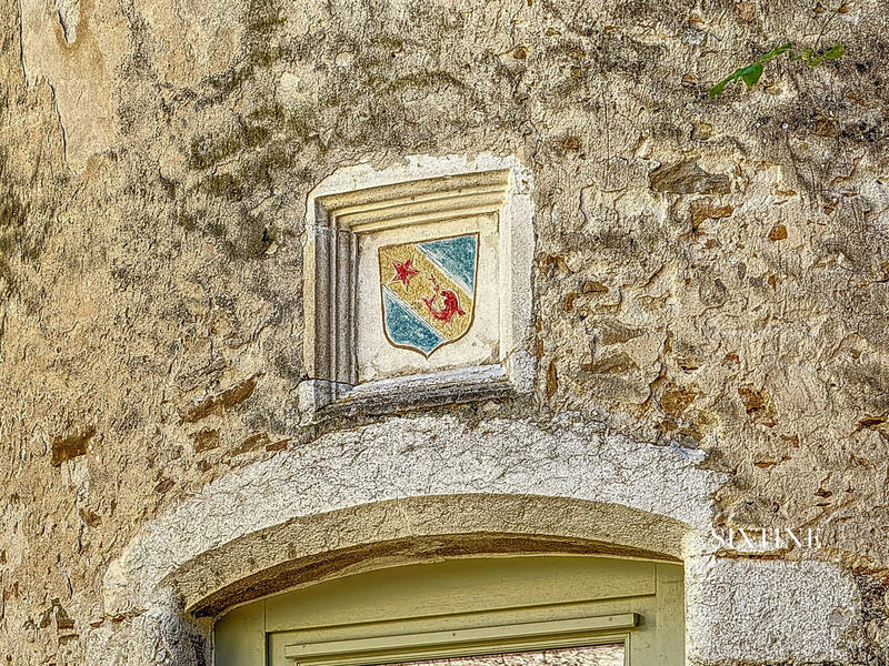 Château - 500 m² - 12 pièces