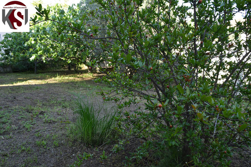 Maison - 160 m² - 5 pièces