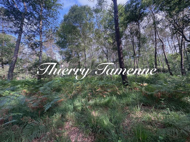 Terrain - 141 093 m²