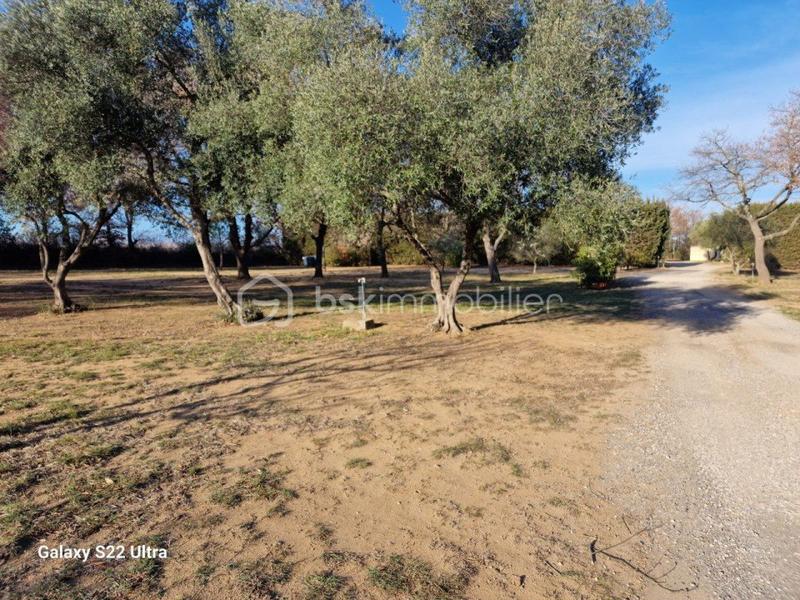 Terrain industriel - 26 593 m²