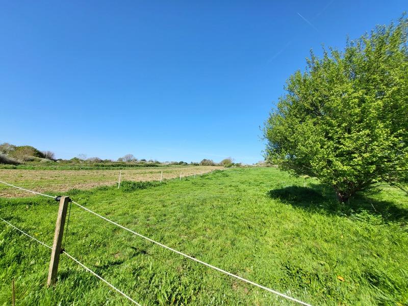 Hangar - 520 m² - 1 pièce