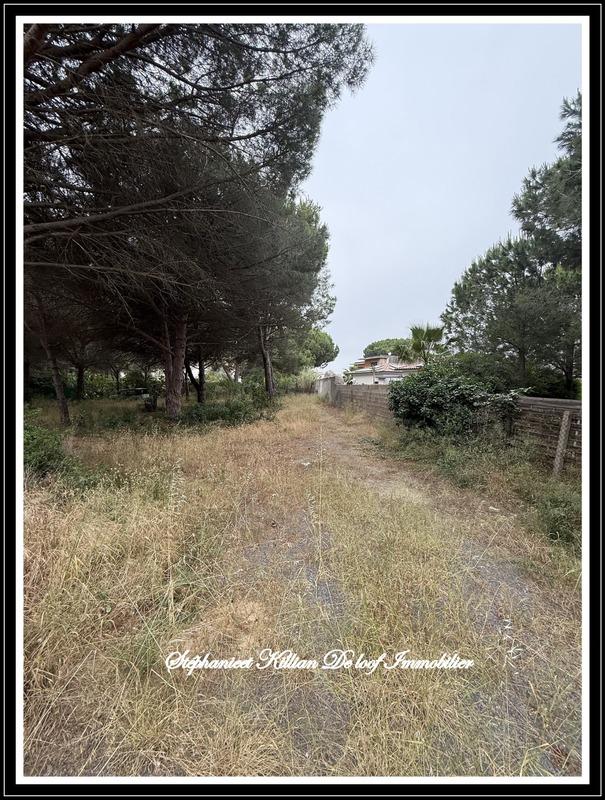 Terrain constructible - 1 001 m²