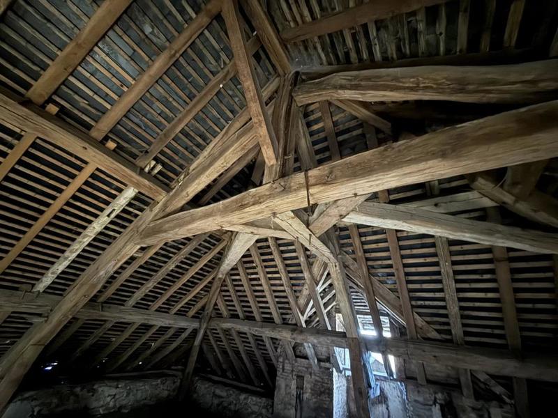 Château - 1 300 m² - 35 pièces