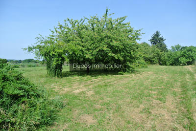 Maison - 80 m² - 3 pièces