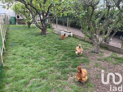 Maison - 137 m² - 6 pièces