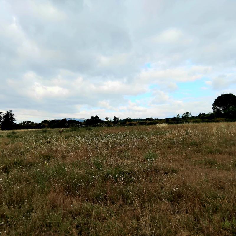 Maison - 96 m² - 5 pièces