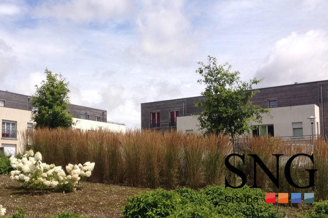 Appartement - 49 m² - 2 pièces