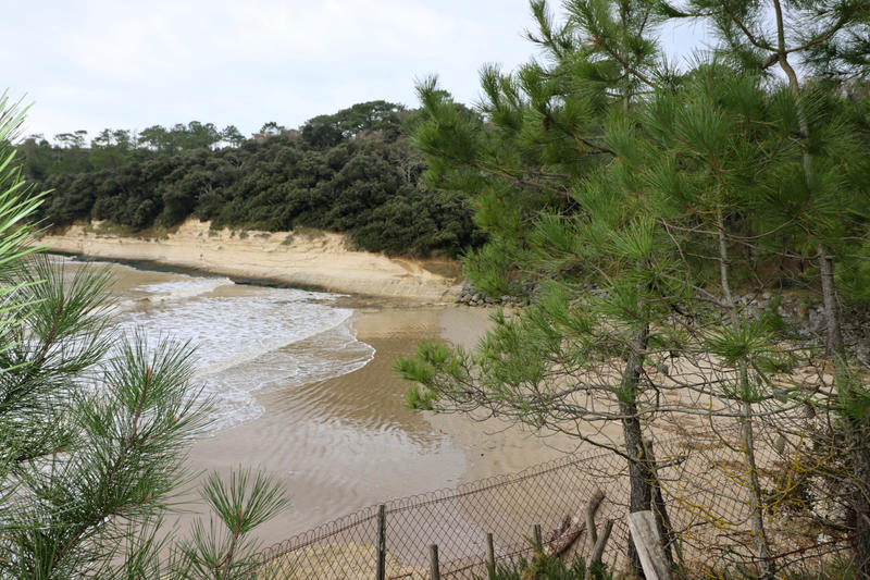 Maison - 40 m² - 4 pièces