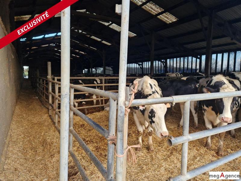 Maison - 2 000 m² - 3 pièces