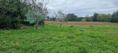 Terrain - 700 m²