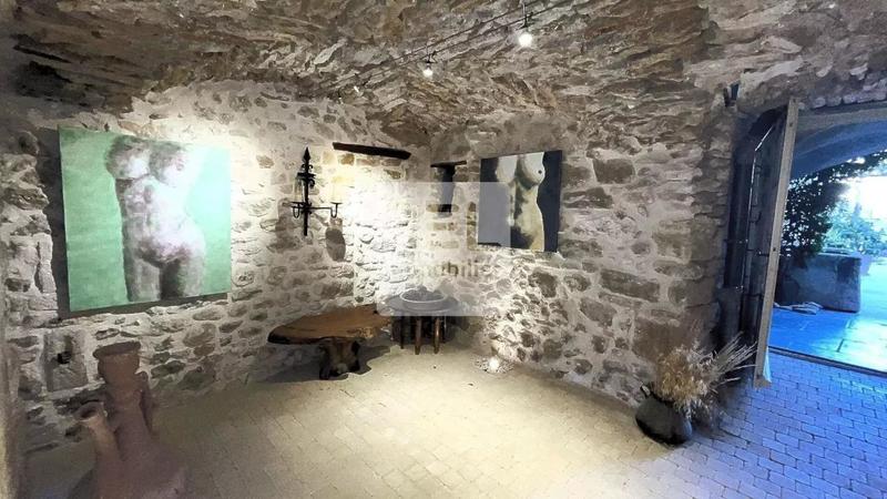 Maison chambre d'hôtes - 280 m² - 10 pièces