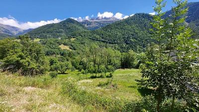 Terrain - 709 m²