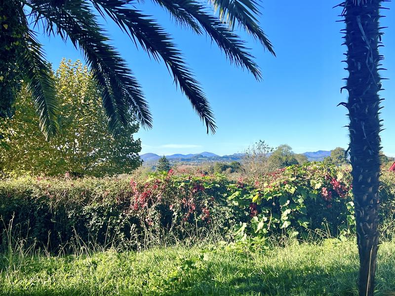 Maison de village - 250 m² - 9 pièces