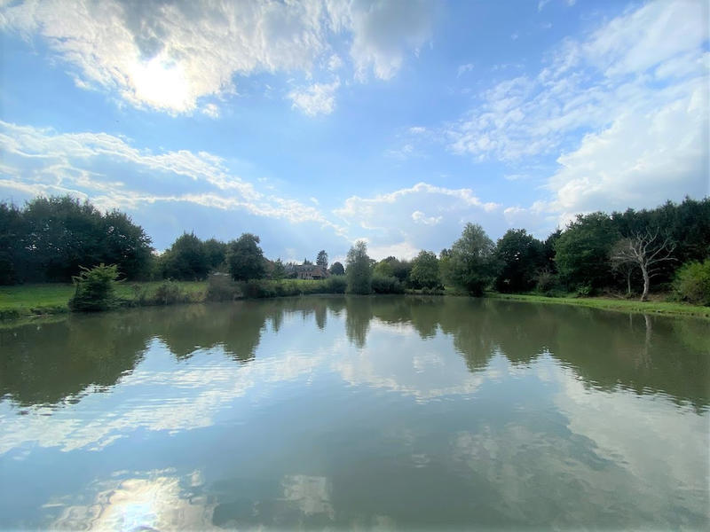 Propriété - 340 m² - 9 pièces