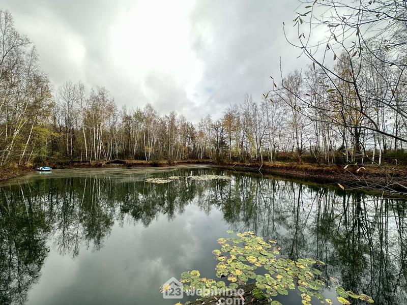 Terrain - 10 450 m²