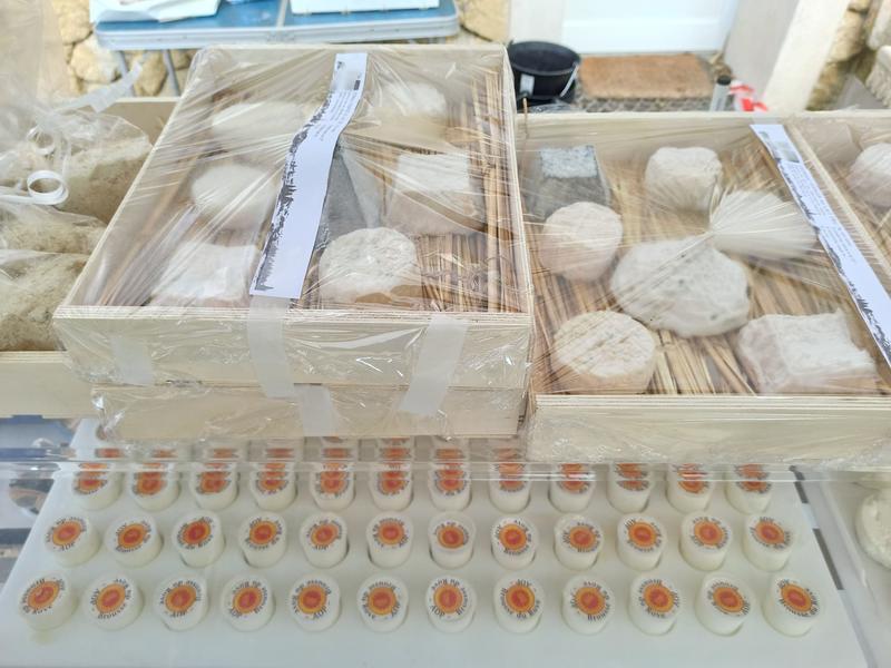 Dans la peau d'un berger : Immersion à la ferme