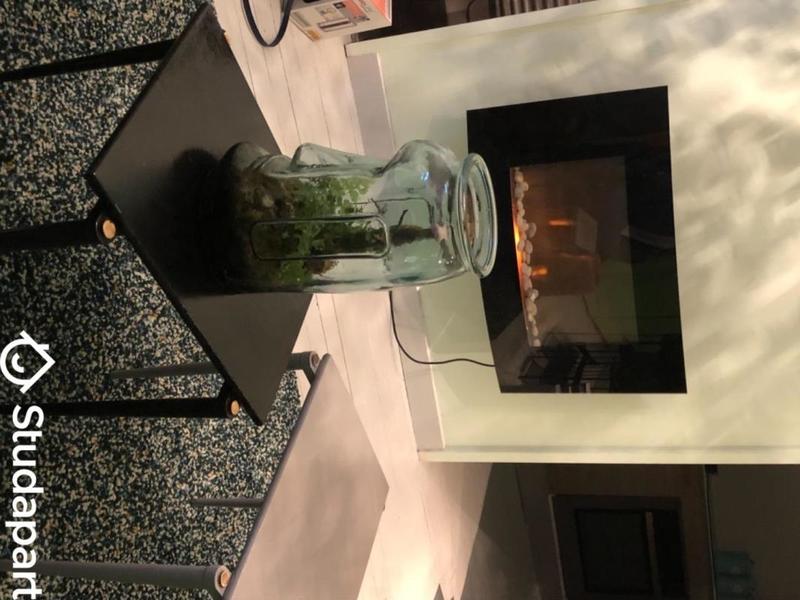 Appartement - 50 m² - 3 pièces