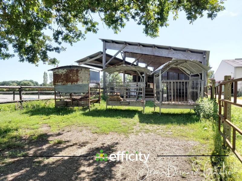 Maison de domaine équestre - 90 m² - 4 pièces