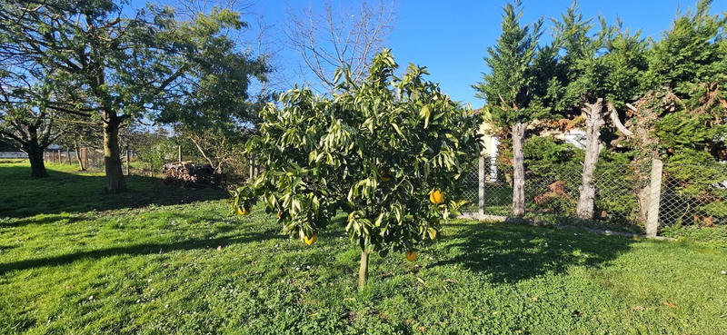 Maison - 140 m² - 4 pièces