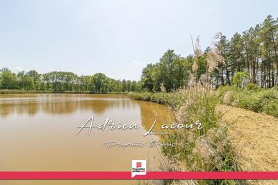 Étang - 25 600 m²