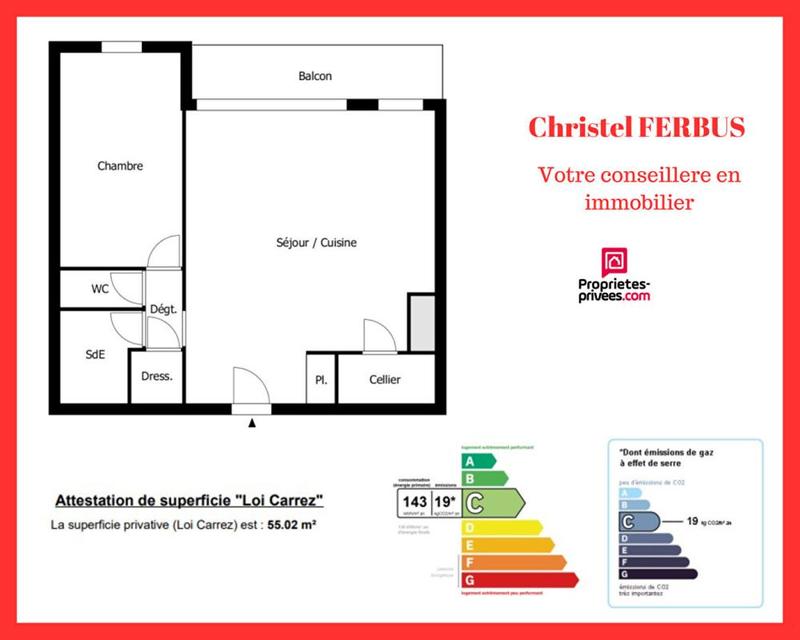 Appartement - 55 m² - 2 pièces