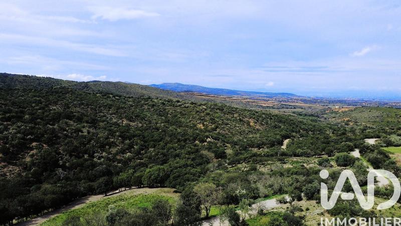 Maison - 275 m² - 10 pièces