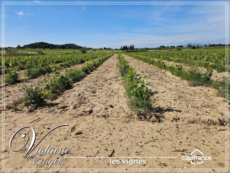 Propriété - 500 m² - 10 pièces