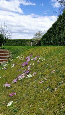 Pavillon - 146 m² - 6 pièces