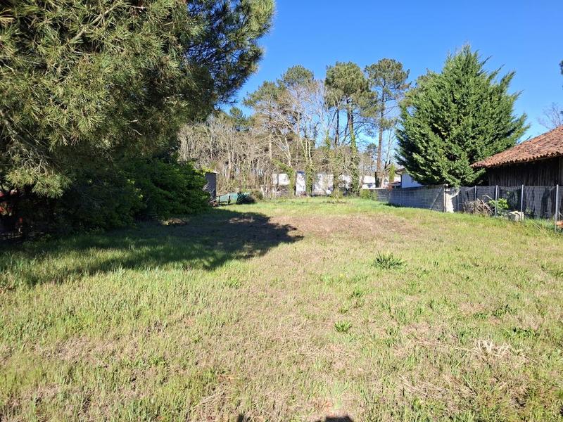 Terrain constructible - 990 m²